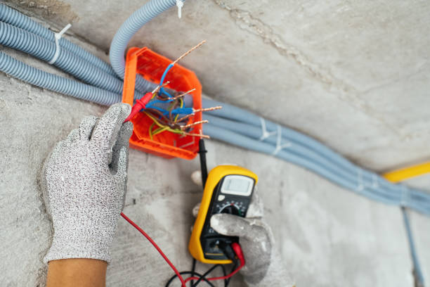 Best Residential Electrician Services  in Sullivan City, TX